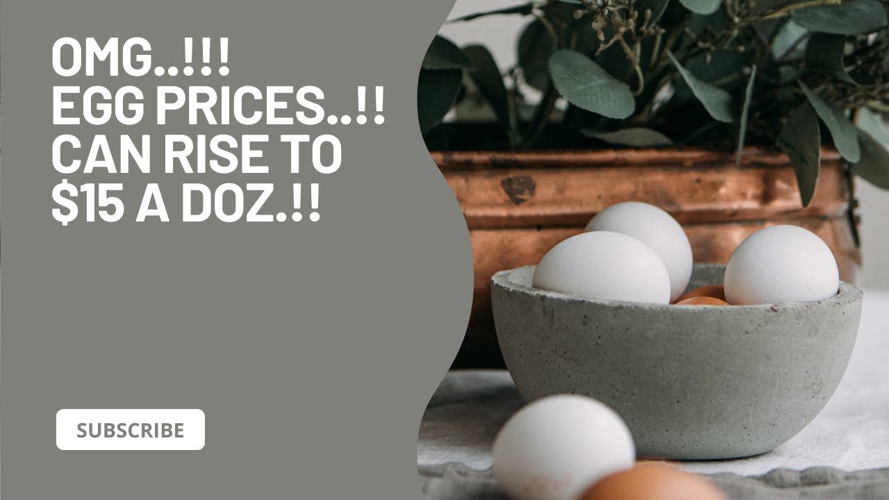 Egg Prices Skyrocket Amid Bird Flu Outbreak - YouTube