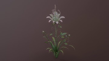 Cosmoflorist White Flower - Animation Sequence