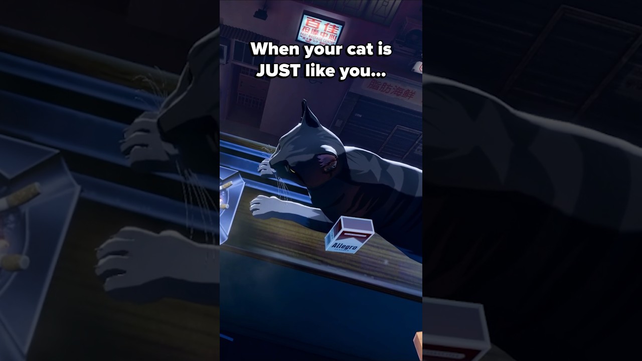 Коты в VR-играх — ДИКИЕ 