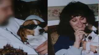Pet Custody & Family Law - Fort Wayne Divorce Attorney - The Law Office of Tracey L. Rosswurm