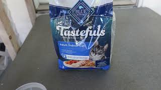 Blue Buffalo Adult Cat Food Review and how my cat Lacet Mae Likes it