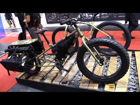 big dummy bike price