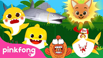 Krahs YbaB | Baby Shark April Fool's Day | Fun Song for Kids | Pinkfong Baby Shark Rhymes