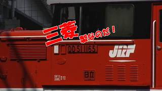 DD51 1165春の椿事