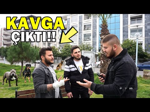 MEVZUYA 10 KÖPEKLE GİTMEK!! (MEVZU ÇIKTI!!!)