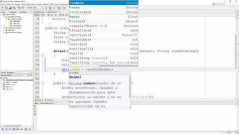 La Palabra Clave this en Java