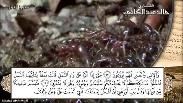 فلنتعلم ( سليمان مع النملة ) متذكرين ( قال ربي أوزعني ..) أجمل تلاوة لسورة النمل HD