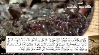 فلنتعلم ( سليمان مع النملة ) متذكرين ( قال ربي أوزعني ..) أجمل تلاوة لسورة النمل HD