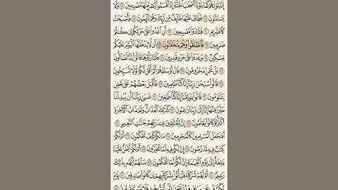 سورة القلم من ٢٠ إلى ٢٥