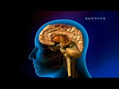 영상썸네일