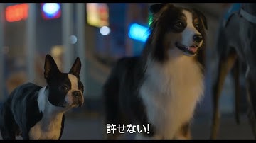 映画「スラムドッグス」特報