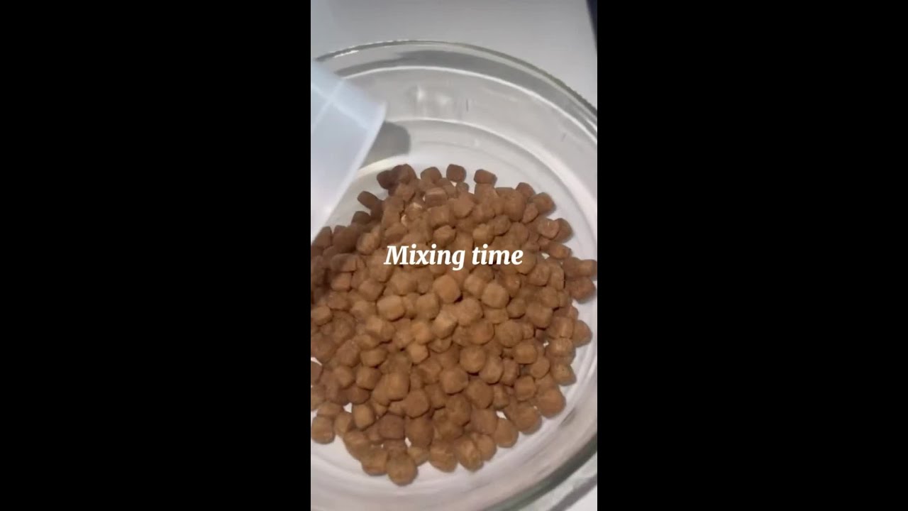 Milly: The Ultimate Supplement for Senior Dog Health 🐾 