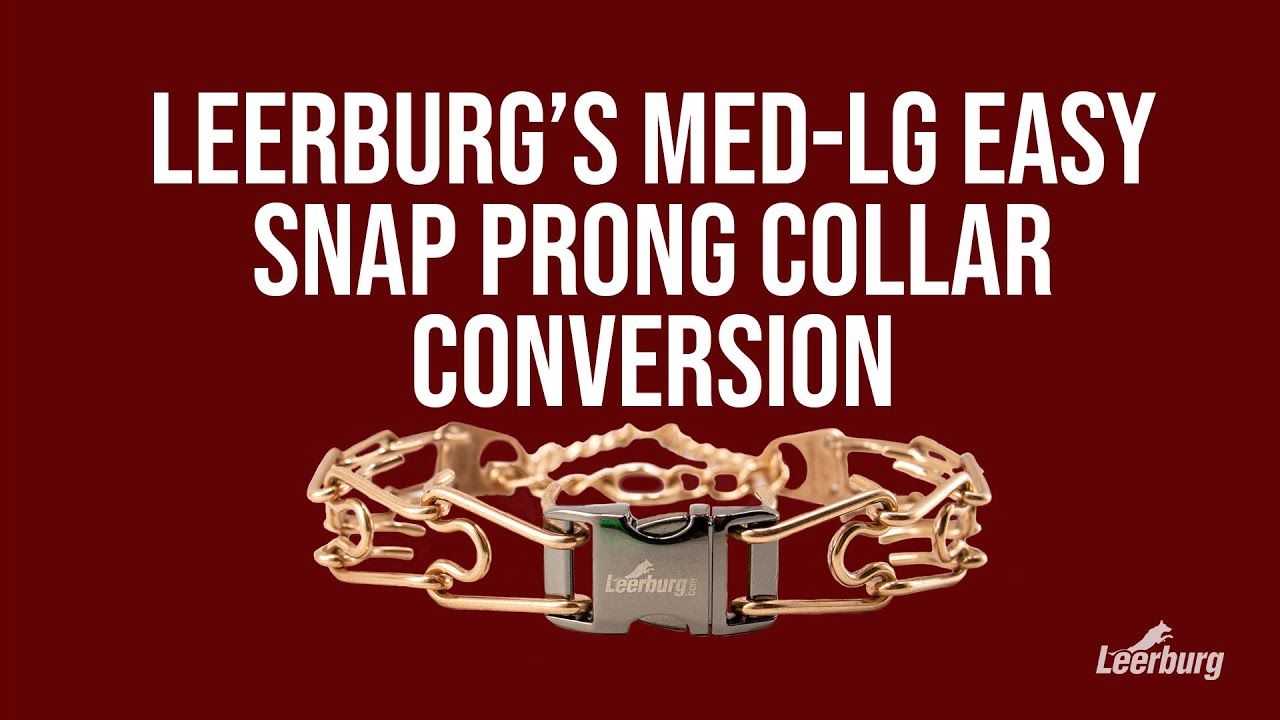 Leerburg  How to Fit a Prong Collar