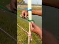 Smart Rope Knot Trick Everyone Should Know | Easy Pole Knot Tutorial🪵🪢#ropeknots#knottrick#ropeknot