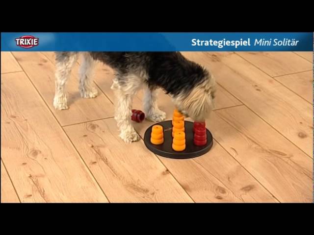 Pet Supplies : Pet Toys : TRIXIE Pet Products Mini Solitaire Game for Dog,  Level 1, Wite/Blue, 7.75 x 7.75 in. (32023) 