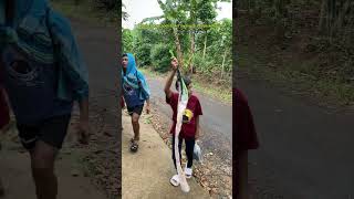 Layangan Si Fahmi Hanyut Di Sungai