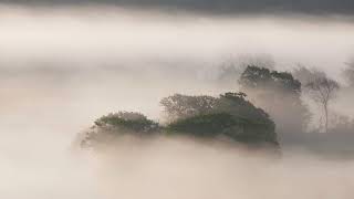 Chasing the mist