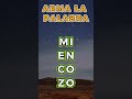 Desafío mental de letras 🧠⚡