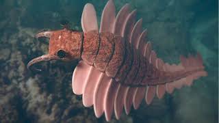 Farewell ANOMALOCARIS