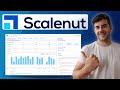 Scalenut Tutorial - Write Blog Post Content FAST with AI