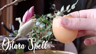 Ostara Spell || Sprouting Your Desires