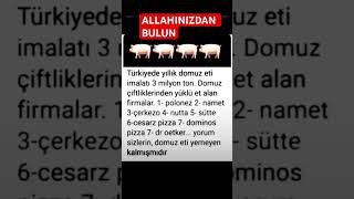 Domi̇z Domuz Hepi̇z Olmuşsunuz Hinzir Bonunuza Geçsi̇n Lanet Halkasi Mallarrin Arasinda Kalan Müalüman