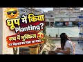 धूप में की Planting 🌞 | सच में मुश्किल लेकिन दिल खुश हो गया 😍🌱