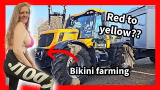 43MPH fastrack or PUMA? #bikini farming 🌞 cows and calves go OUT!!!