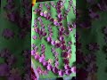 DIY cherry blossom #diy #diywalldecor #diyflower