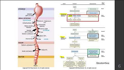 Digestive Disorders l