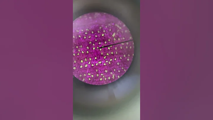 How To View Stomata Under the Microscope | LaBLiFe