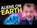 Alien Worlds and Extremophiles with Neil deGrasse Tyson & Kennda Lynch – Cosmic Queries