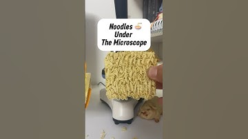 Instant Noodles Under the Microscope!