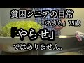 みんな昭和の名前でした。75歳から挑戦したYoutube。動画編集の方法。もやし栽培、【貧困シニア】あきら75歳。シニアライフ シニアVlog 年金生活#貧困シニアあきら