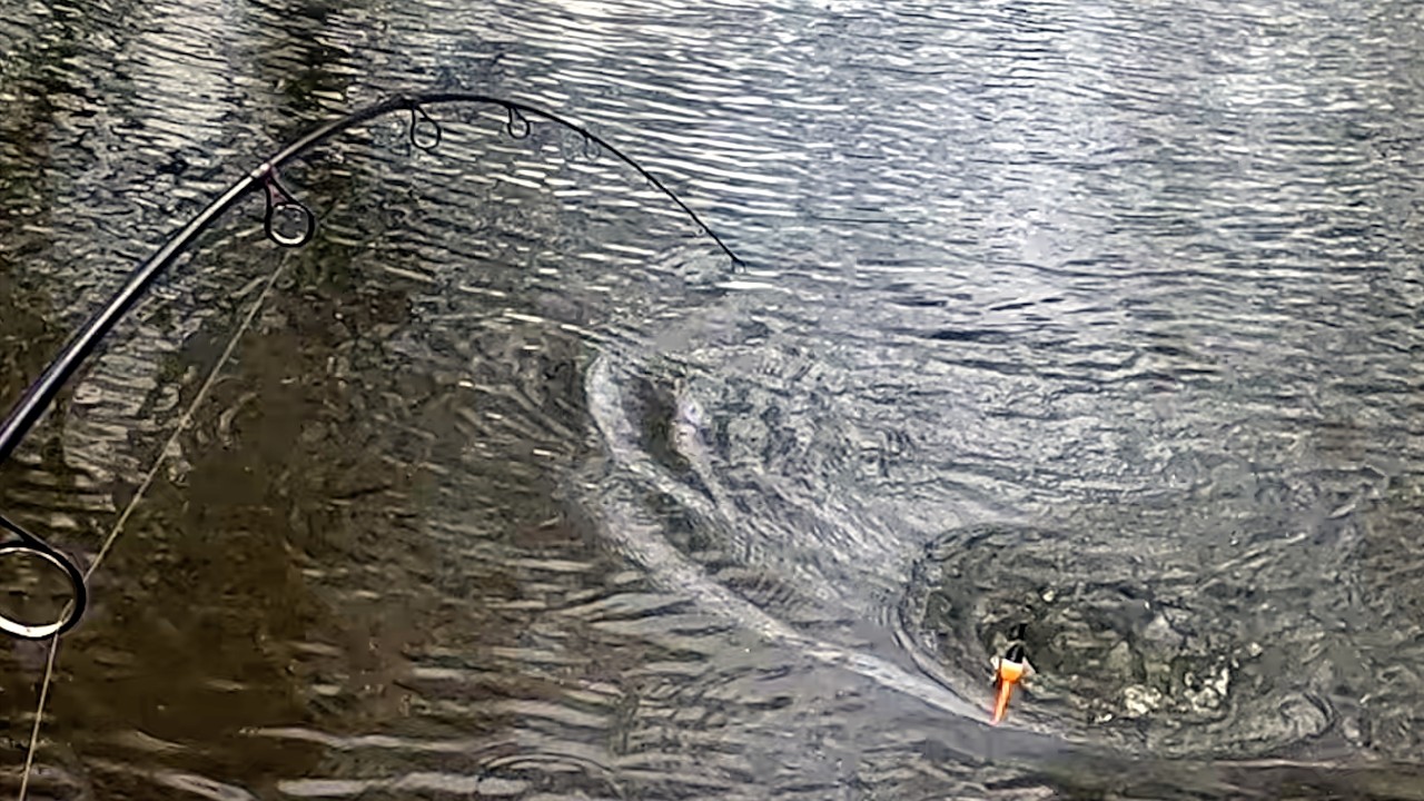 This Spillway Is Starting To Fish Better