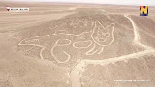 Drone footage reveals ancient cat etched into Peru hillside