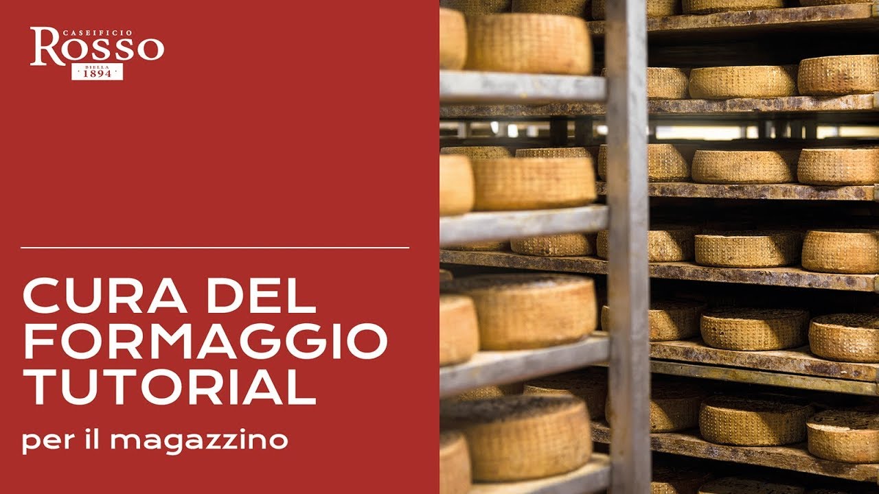 Cura del Formaggio in magazzino