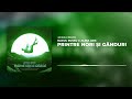 Raoul Russu x Alina Jais - Printre nori si ganduri | Jayraa Remix