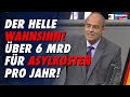 Der helle Wahnsinn! Über 6 Mrd für Asylkosten pro Jahr! - Peter Boehringer-AfD-Fraktion im Bundestag