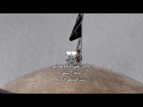 مولاتي ڪلبي ضريحج ضامي السلام على مولاتي زينب الڪبرى حفيدات الكرار فيديوهات حسينيه