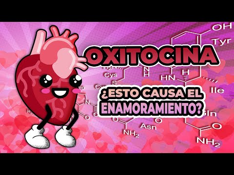 What effects does the "love hormone" have on our body? #love #valentinesday #february14
