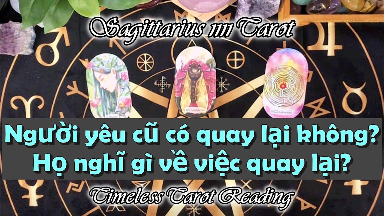 TAROT: NGƯỜI YÊU CŨ CÓ QUAY LẠI? HỌ NGHĨ GÌ VỀ VIỆC QUAY LẠI? | TIMELESS READING | #timeless #tarot