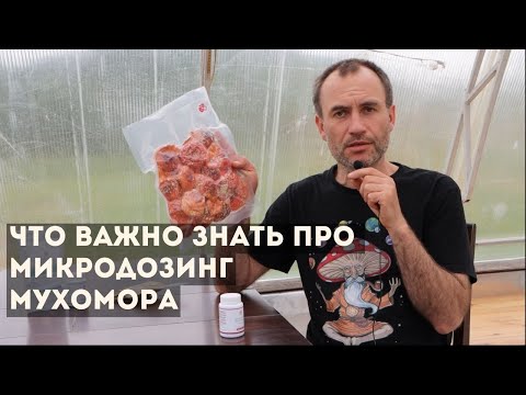 Микродозинг мухомора - 10 ответов  на самые часто задаваемые вопросы.