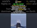Killer Whale: Ocean’s Smartest Predator #apexpredator #predatorlore #orka #wildwhales