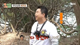 [푹 쉬면 다행이야] 나무가 너무 높아 그림의 떡이 된 감???? 감을 따기 위해 허경환이 꺼낸 비장의 카드…