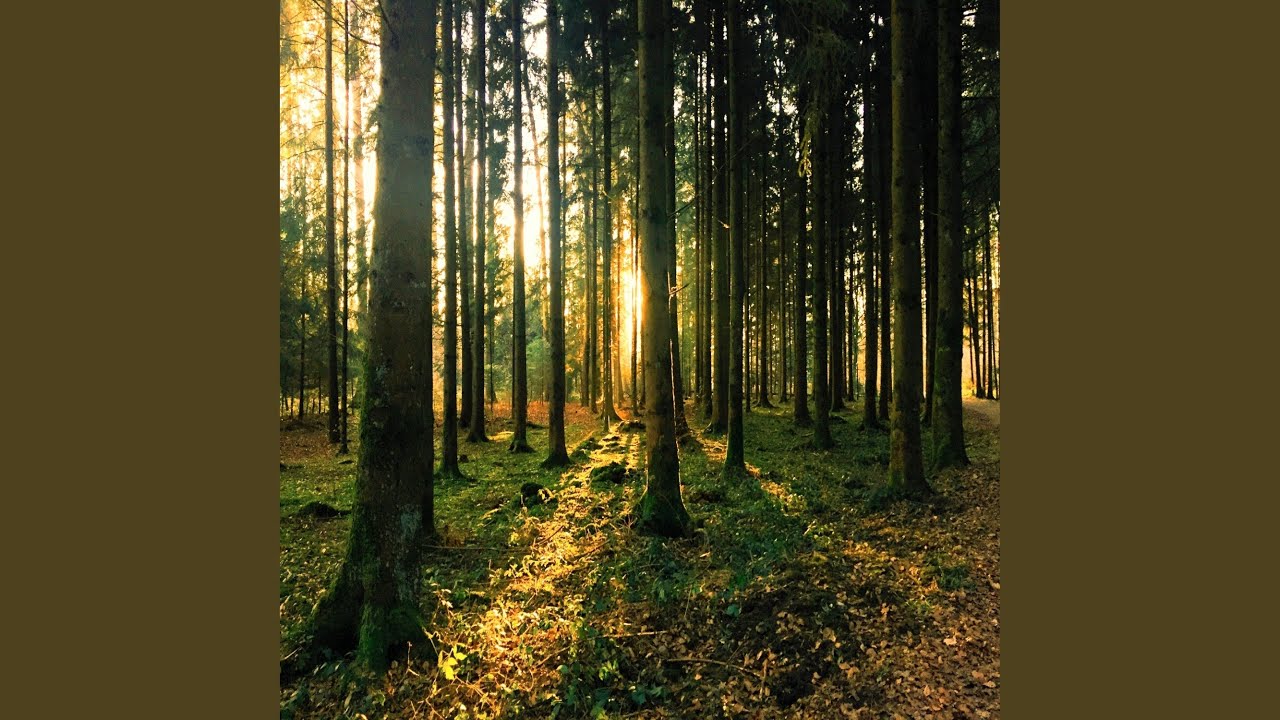 Watch Reciprocity on YouTube Watch Reciprocity on YouTube