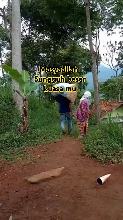 Masyaallah!!! Indah nya alam pedesaan. #alam #jawabarat #music #storyalam #nature #storywa