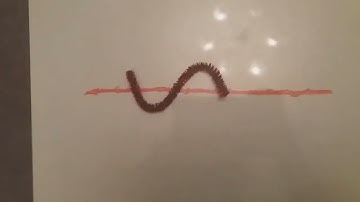 Waves, Particles and Quantum Fields | Quantum on the Clock schools video competition 2022