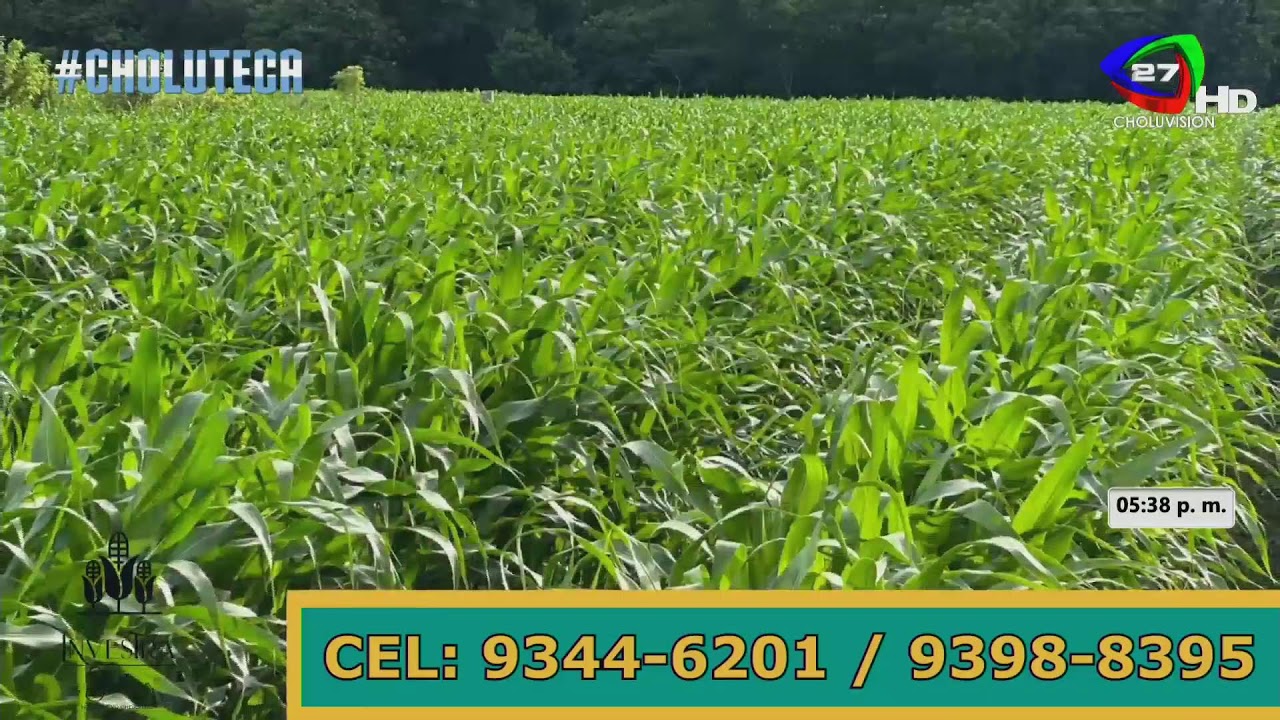 Transmisión en vivo de Choluvision Canal 27 HD Oficial