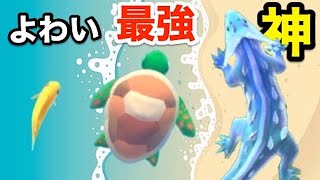 小魚から恐竜へと成長する『生物の進化ゲーム』【 Hyper Evolution 】